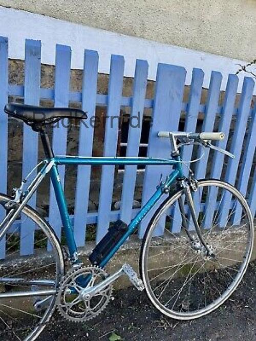 Pinarello Dolomite technische daten 